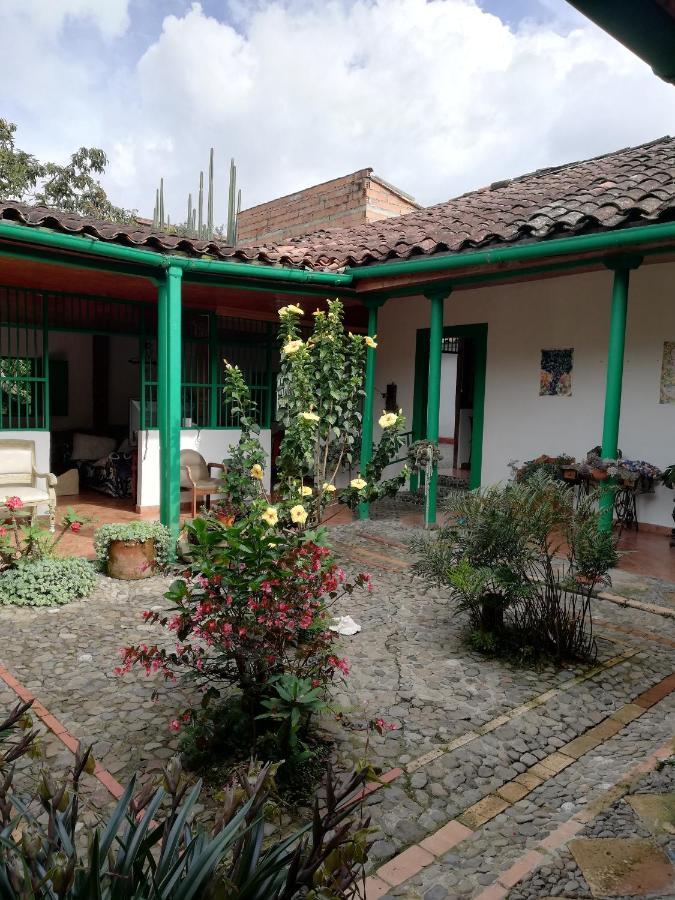 Luzart Jardín Exterior foto