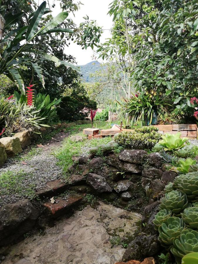 Luzart Jardín Exterior foto