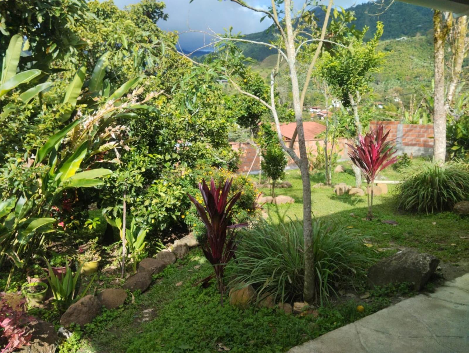 Luzart Jardín Exterior foto