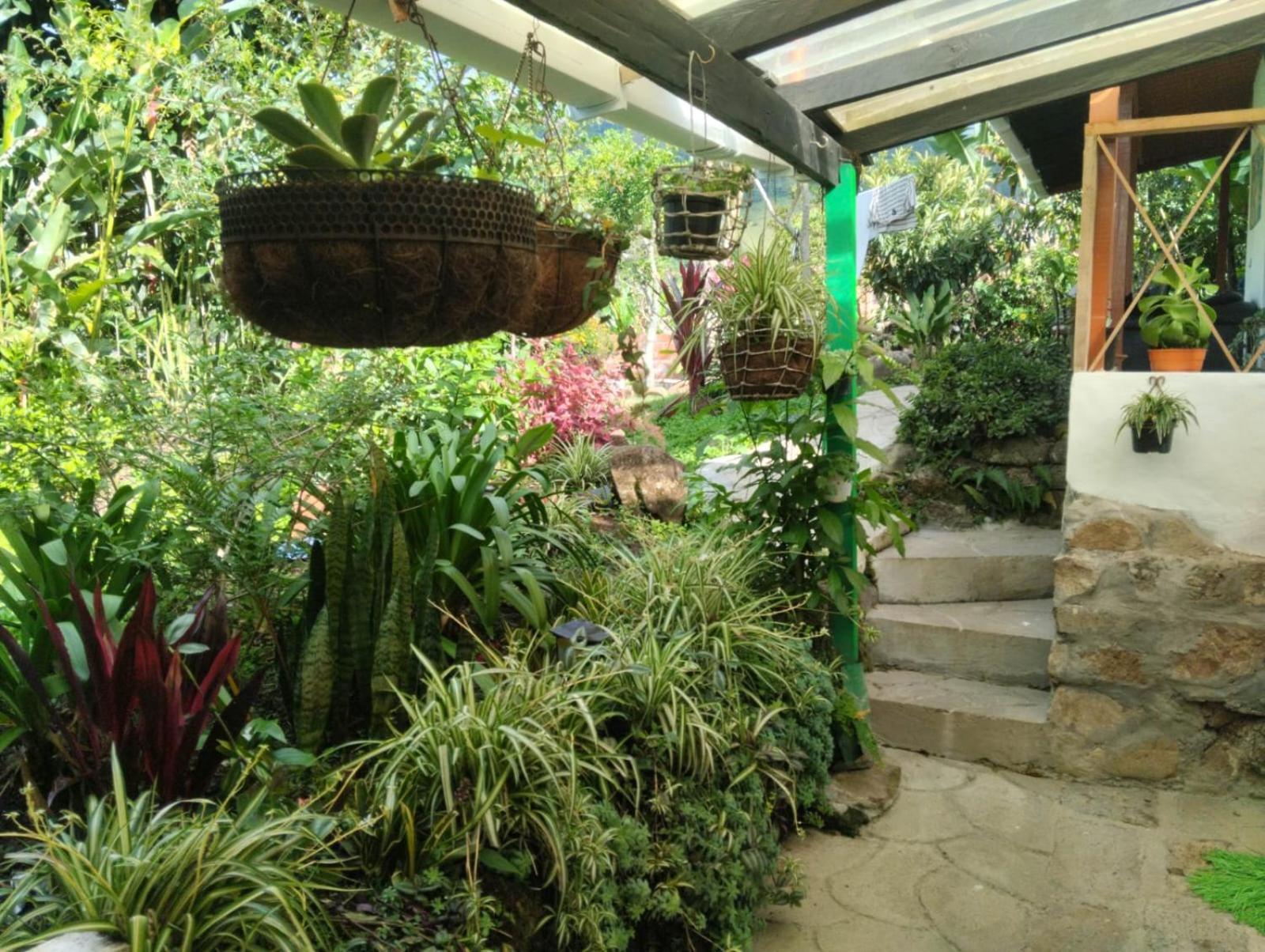 Luzart Jardín Exterior foto